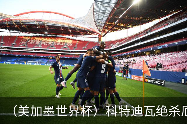（美加墨世界杯）科特迪瓦绝杀厄瓜多尔 瑞典5:1大胜突尼斯
